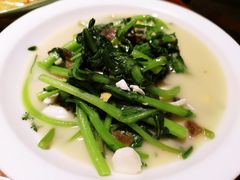 -大灰狼(中心书城店)