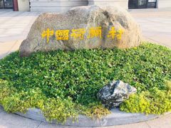-荷兰花海