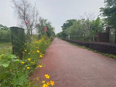 -柳鹭田园区