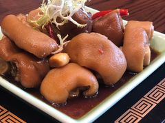 -桐楠格大酒店·国宴