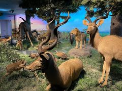 -国家自然博物馆