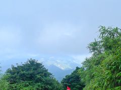 -银瓶嘴森林公园