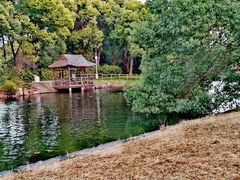 -西郊宾馆·1921餐厅