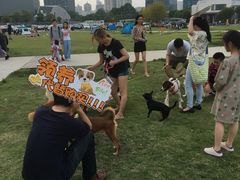 -栖露营camping·天幕烧烤·团建拓展·采摘营地