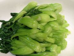 -菩提树·素食餐厅(汇智国际商业中心店)