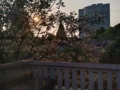 -萬國春·中菜馆(颐和公馆店)