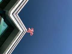 -牛背梁国家森林公园