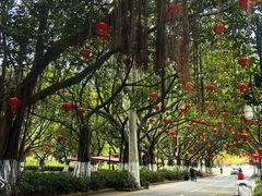 -厦门大学(思明校区)