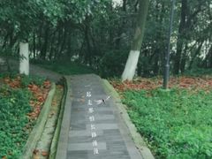 -南山饭店(阳明古镇店)