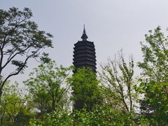 -西海子公园