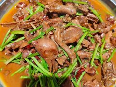 -美华大炒鸽子店