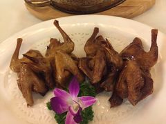 乳鸽-蒲园食堂(中山大学广州校区南校园店)