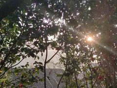 -大罗山风景区