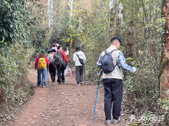 樱桃山旅游景区图片