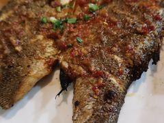 -小杨烤肉(朱雀店)