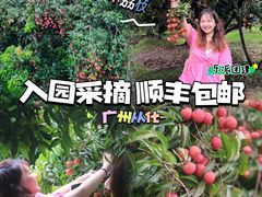 -广州市石门国家森林公园