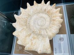 -天津古林古海岸遗迹博物馆