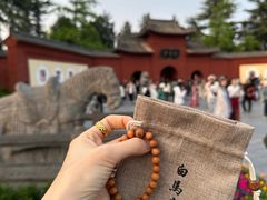 -洛阳白马寺