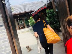 -夏河溪乡野公园