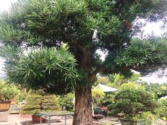 -绿华园休闲山庄
