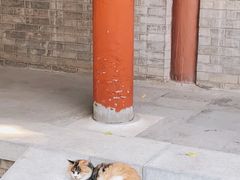 -白云观