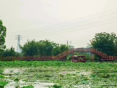 -江门古劳水乡旅游区
