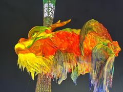 -海心沙亚运公园