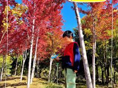 -回龙观体育文化公园