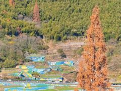 -四明山国家森林公园