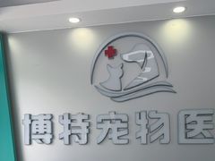 -博特宠物医院24h犬猫全科.骨科·异宠