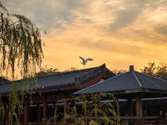 -西安汉城湖景区