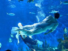 -海合安武汉极地海洋公园