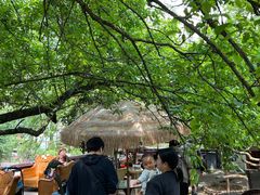 -桃源山庄·水蜜桃采摘·柴火鸡·烧烤团建(龙泉山店)
