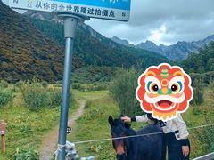 -稻城亚丁景区-冲古草甸
