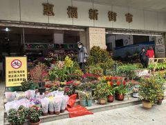 -越秀西湖花市(广州城市广场花卉店)