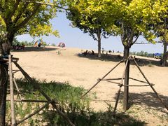 -东郊湿地公园