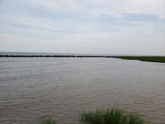 -南汇嘴观海公园