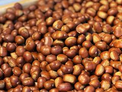 -阿男野栗王(金门路店)