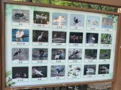 -合肥野生动物园