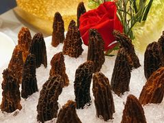 松茸菌-江海肥牛(桃园南路店)