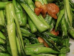 蒜香生炒广东菜心苗-港丽餐厅(高德置地店)