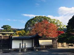 -醍醐寺