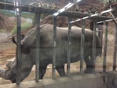 -北京动物园