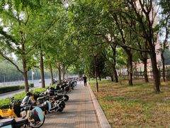 -中央民族大学