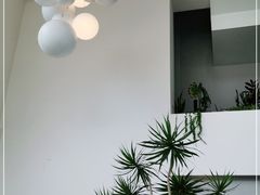 -青梅酒肆PLUS(长白仙岛北路店)