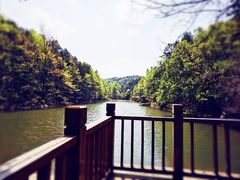 -青龙山国家森林公园
