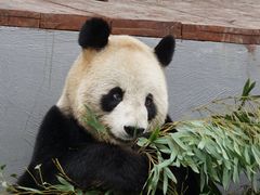 -杭州野生动物世界