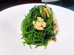 果仁爱沙葱-九十九顶毡房(阜石路店)