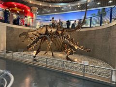 -国家自然博物馆