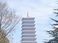 -牛首山文化旅游区